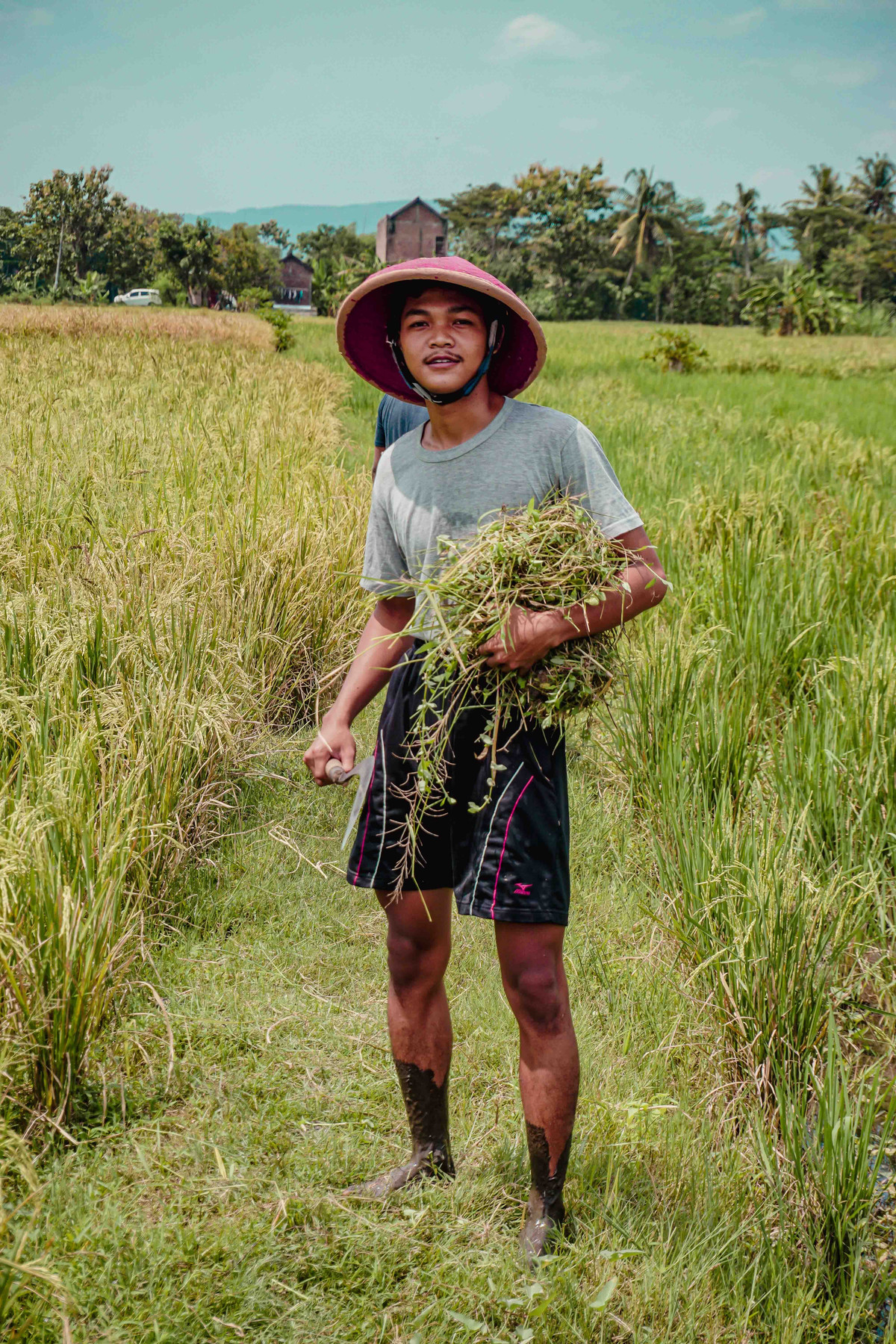 Young farmer working in agrifood production
